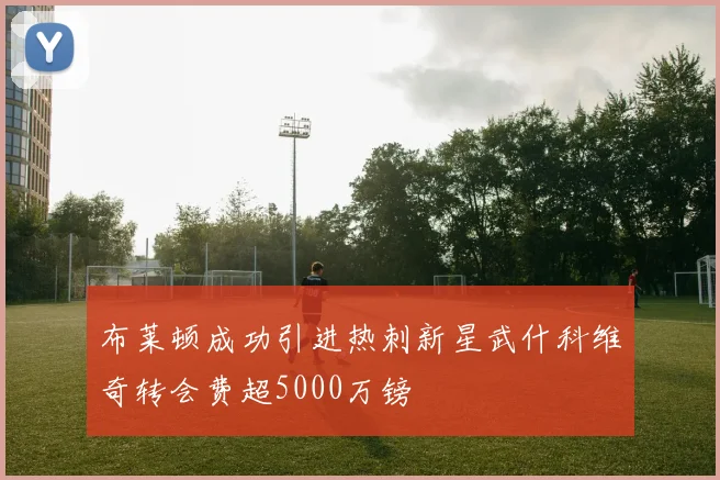 布莱顿成功引进热刺新星武什科维奇转会费超5000万镑